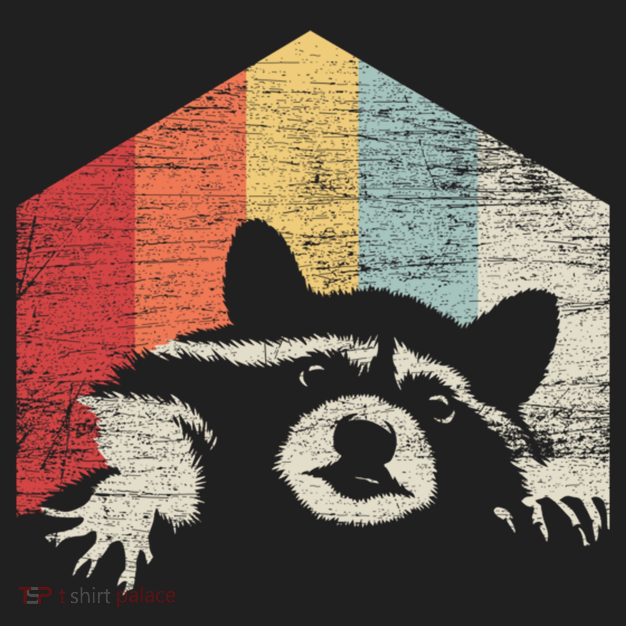 Retro Raccoon Gift Hat