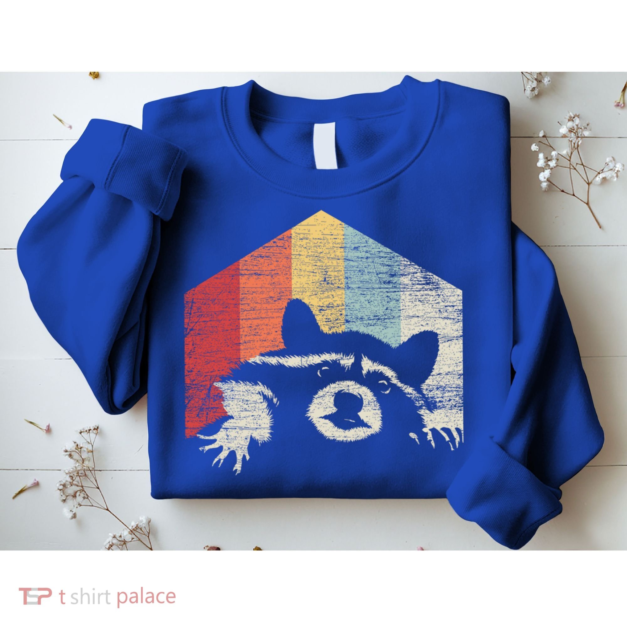 Retro Raccoon Gift Sweatshirt