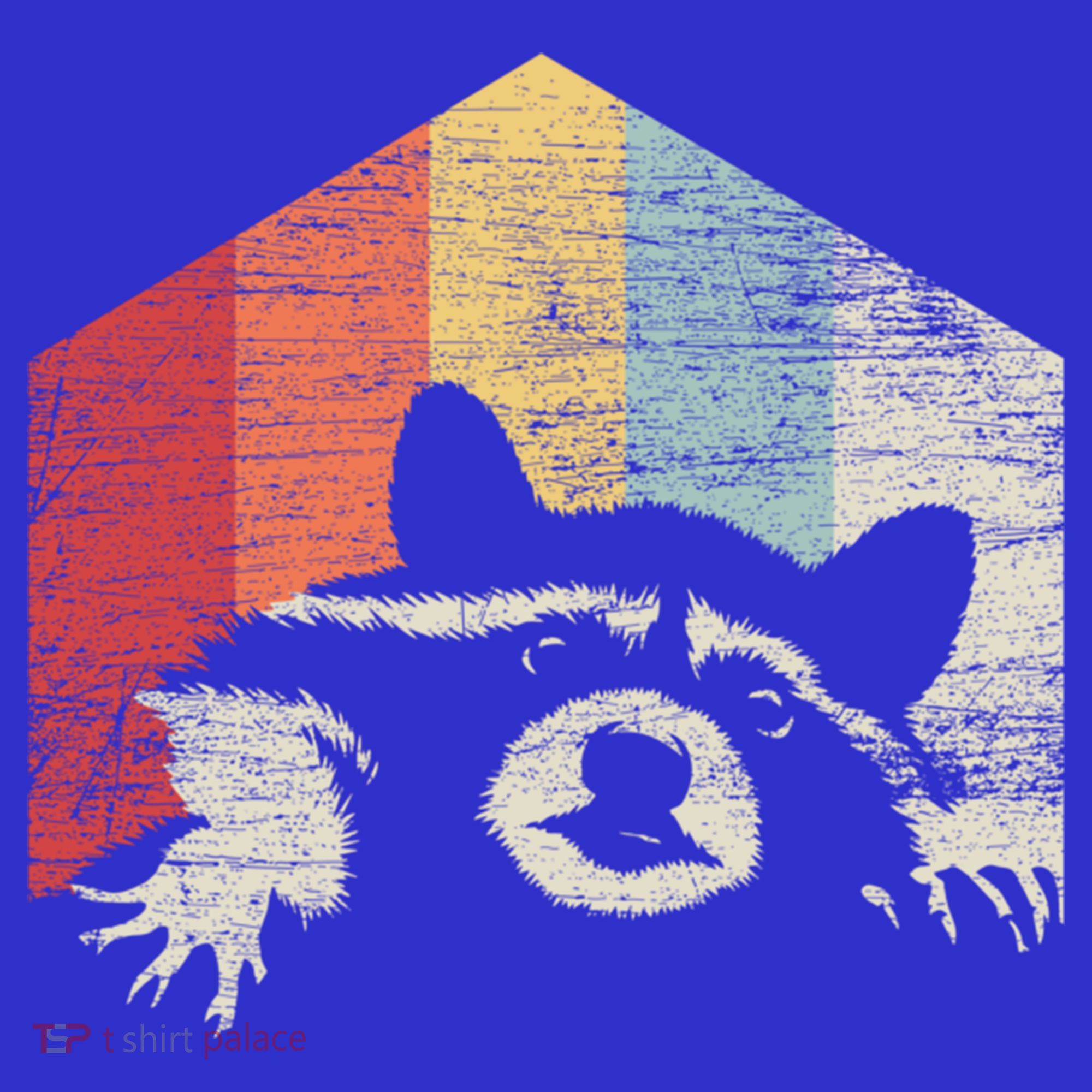 Retro Raccoon Gift Toddler Hoodie
