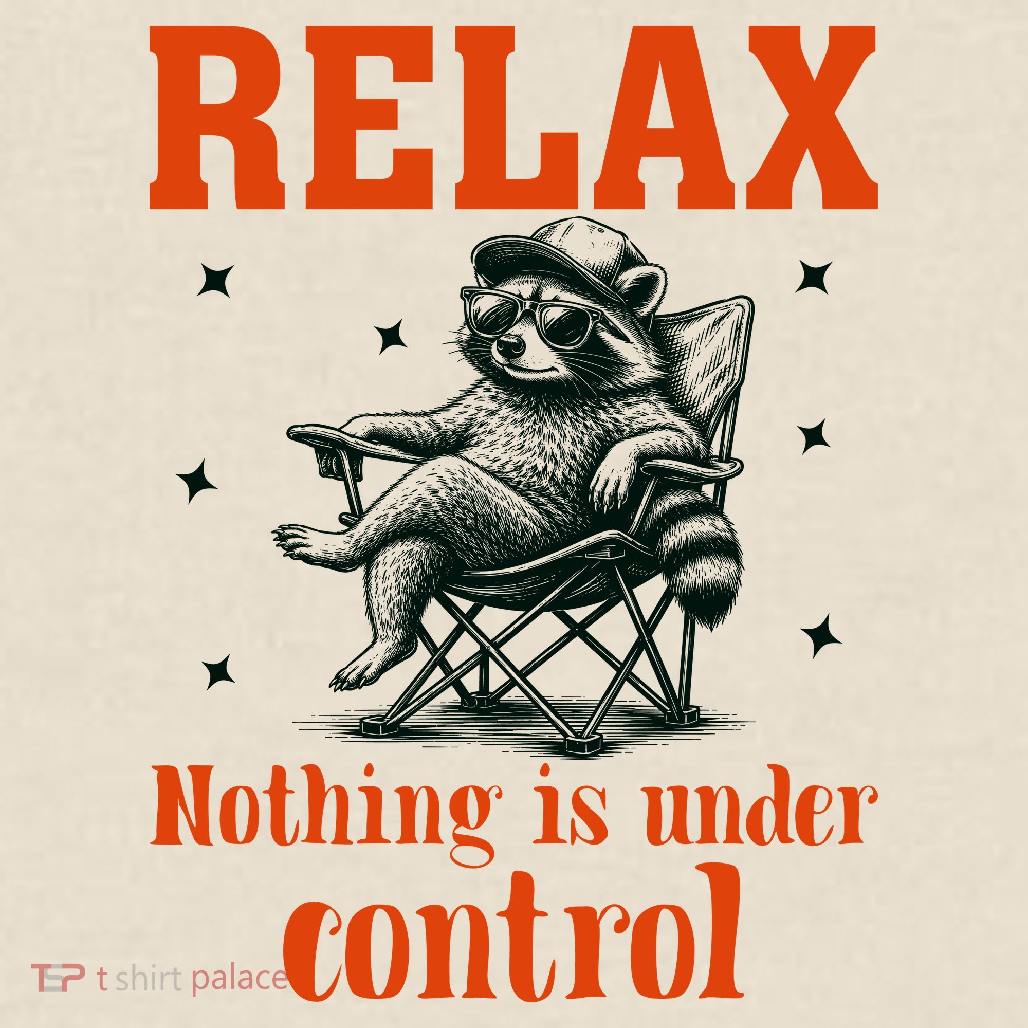 Raccoon Relax Nothing Under Control T-Shirt
