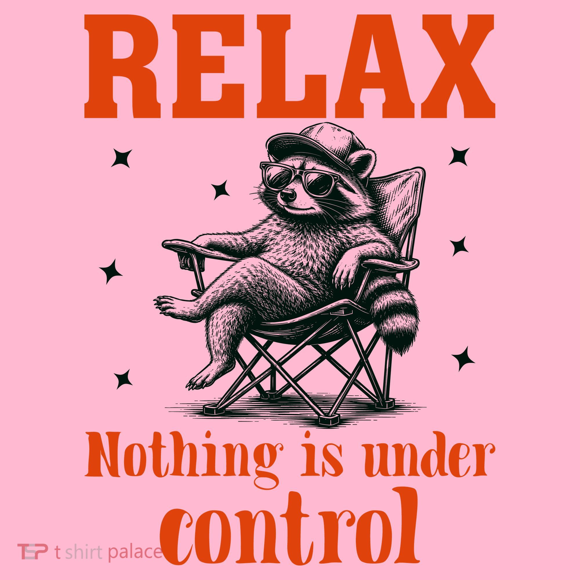 Raccoon Relax Nothing Under Control Coaster