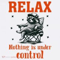 Raccoon Relax Nothing Under Control Toddler T-Shirt thumb 4