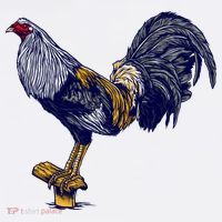 Rooster Bucket Hat thumb 4