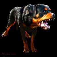 Rottweiler Coffee Mug thumb 5