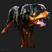 Rottweiler Beanie thumb 2
