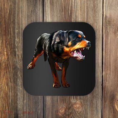 Rottweiler Coaster