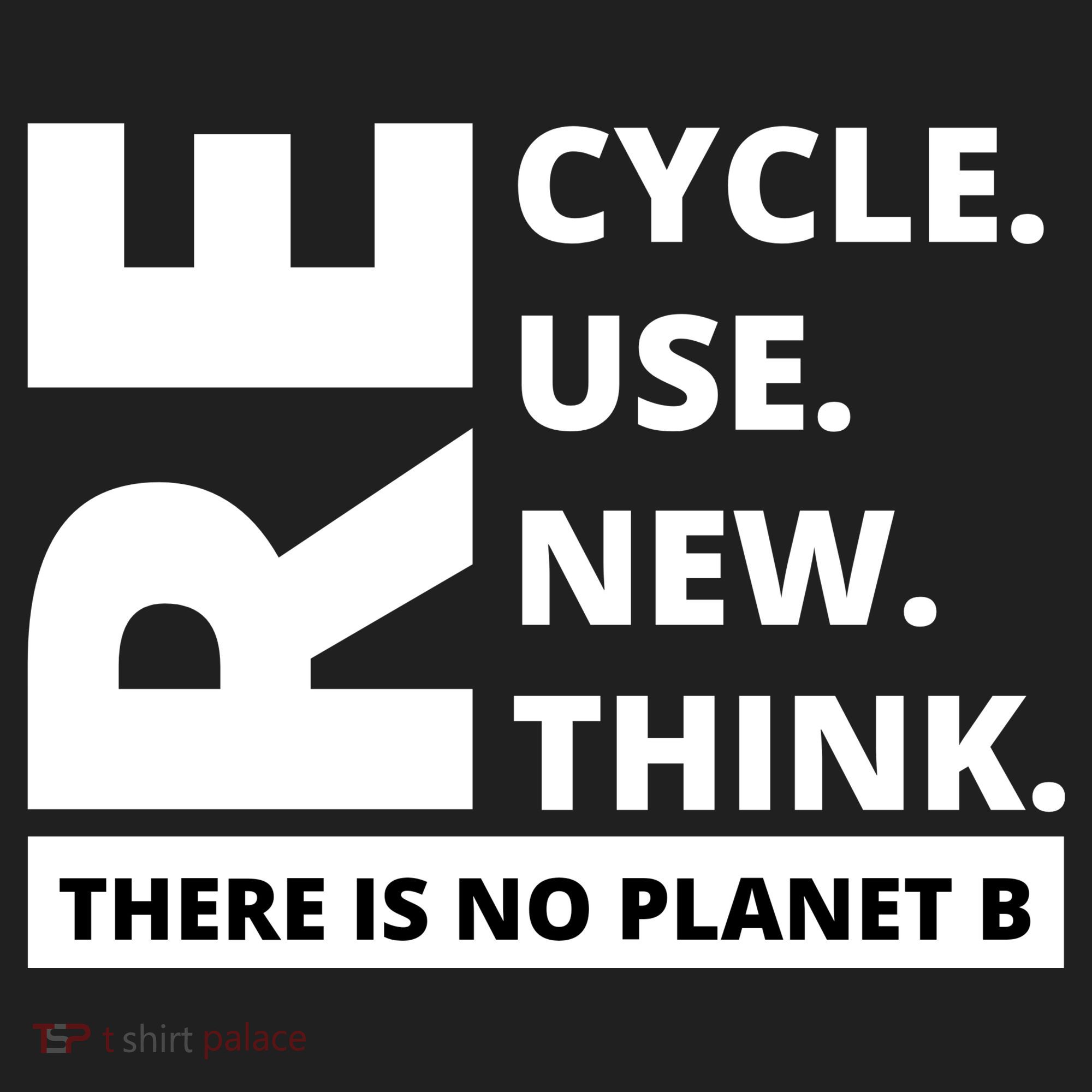 Recycle Reuse Renew Rethink There Is No Planet B Earth Day Beanie