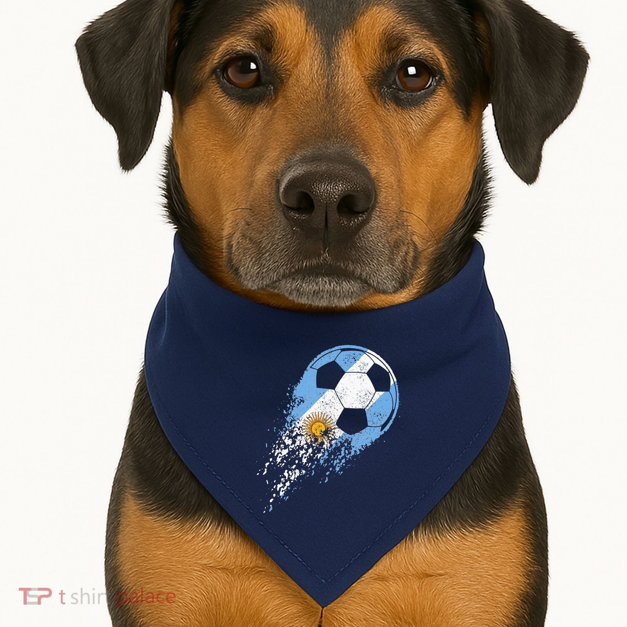 retro Soccer Argentinian Flag Pride Soccer Player USA-Made Doggie Bandana