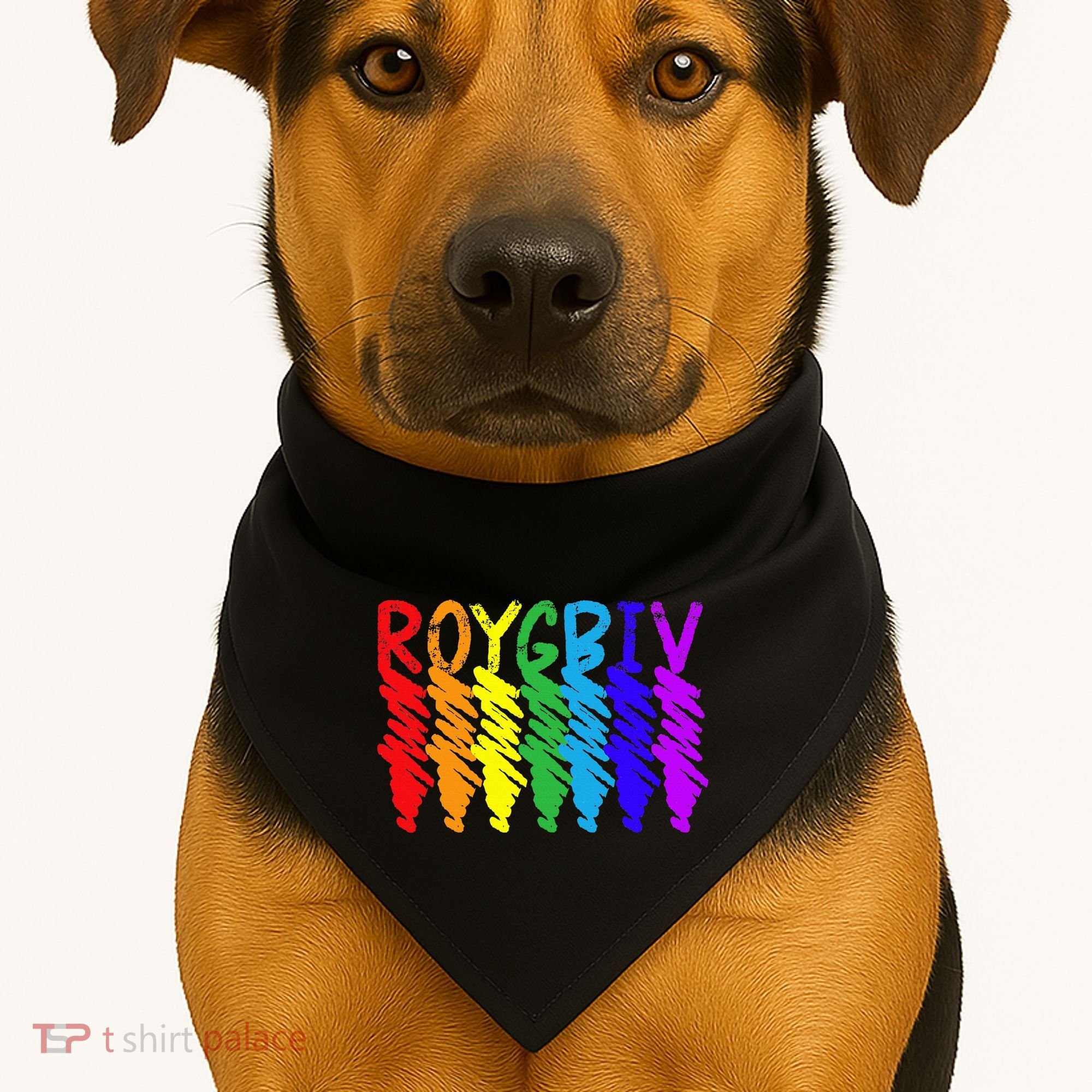 Roygbiv Sketchy Art Teacher Artist Painter Painting USA-Made Doggie Bandana