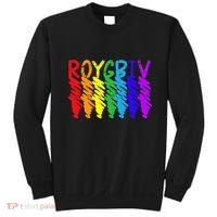 Roygbiv Sketchy Art Teacher Artist Painter Painting Sweatshirt thumb 0