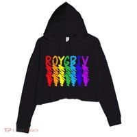 Roygbiv Sketchy Art Teacher Artist Painter Painting Crop Fleece Hoodie thumb 0