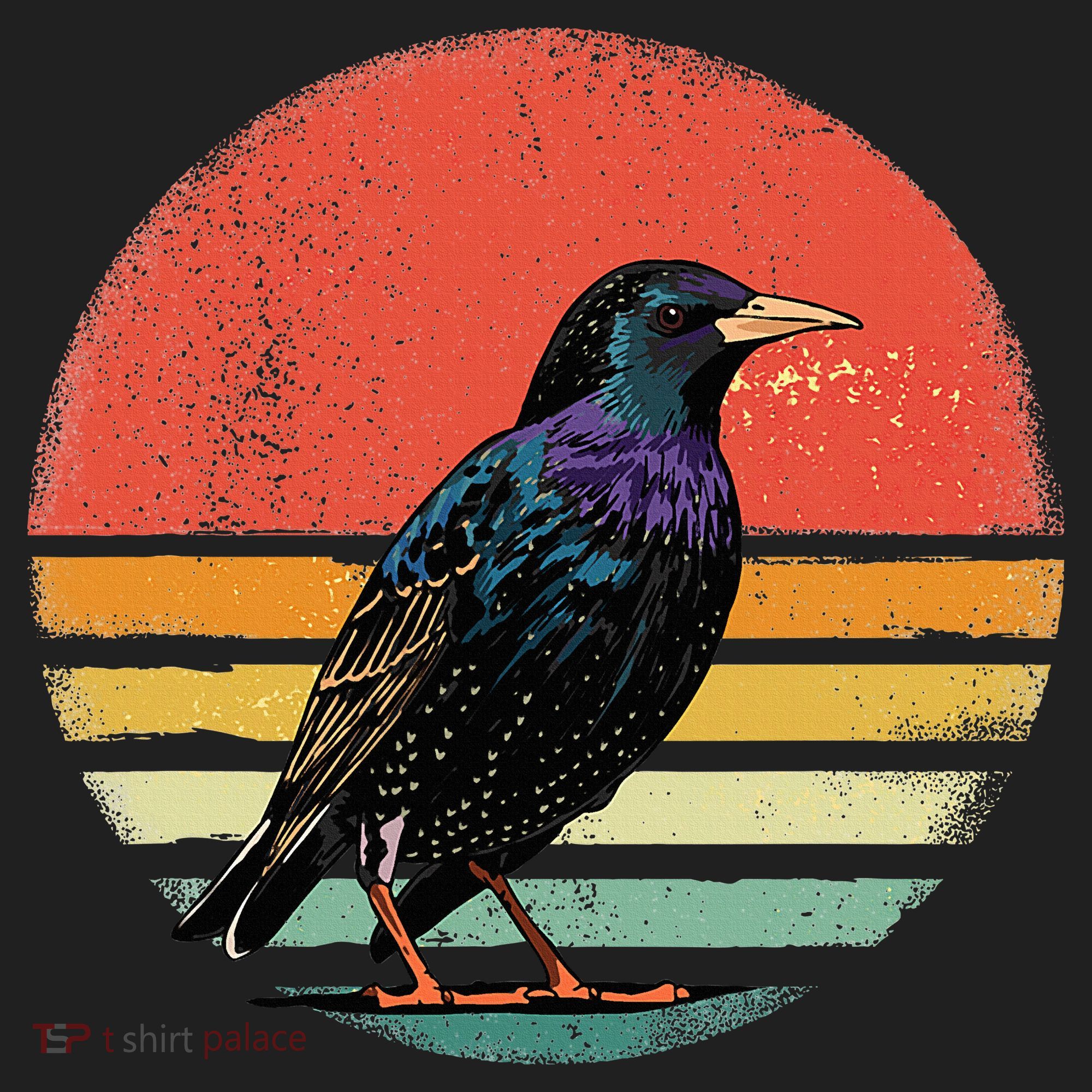 Retro Starling Bird Animal Birdwatcher Bird Lover Women's Sweatshirt