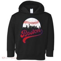 Retro Skyline Boston Baseball Meaningful Gift Toddler Hoodie thumb 0