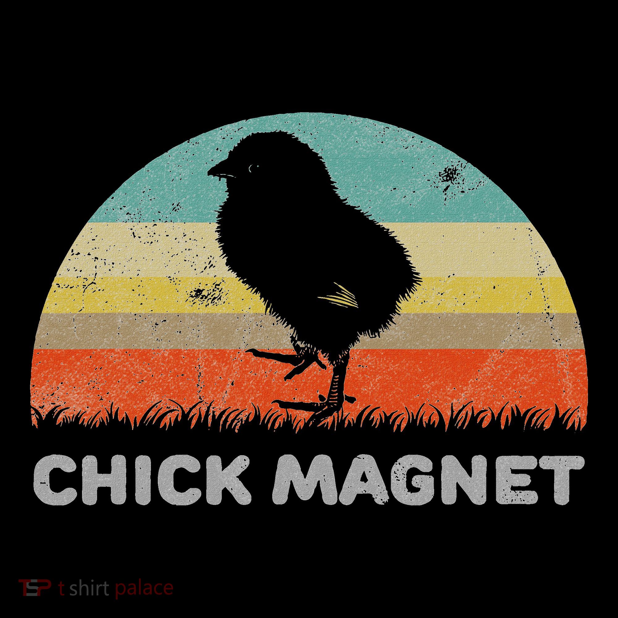 Retro Style Chick Magnet Women's Hoodie