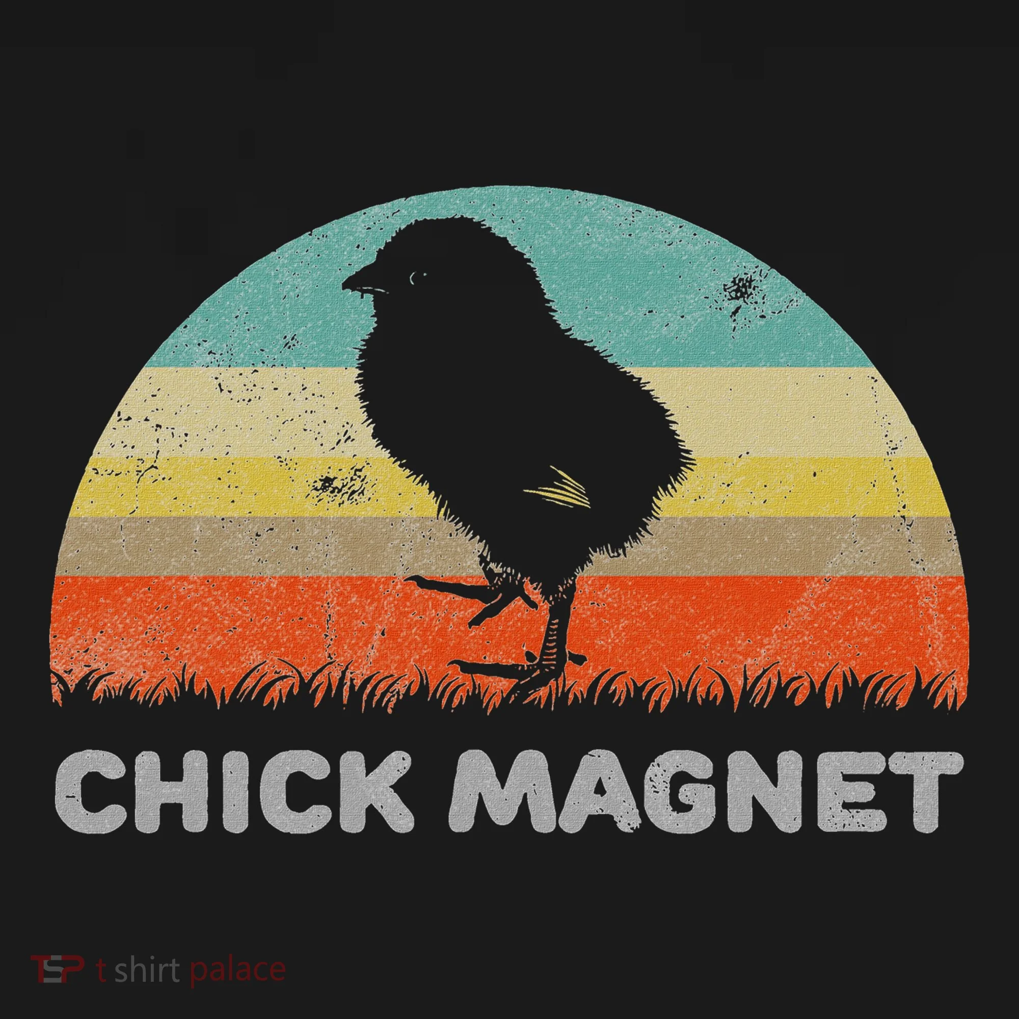 Retro Style Chick Magnet Kids Long Sleeve Shirt