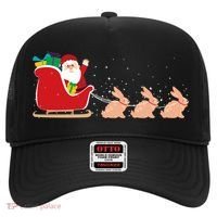 Rabbit Santa Christmas Sleigh Funny Rabbit Xmas Gift Hat thumb 0
