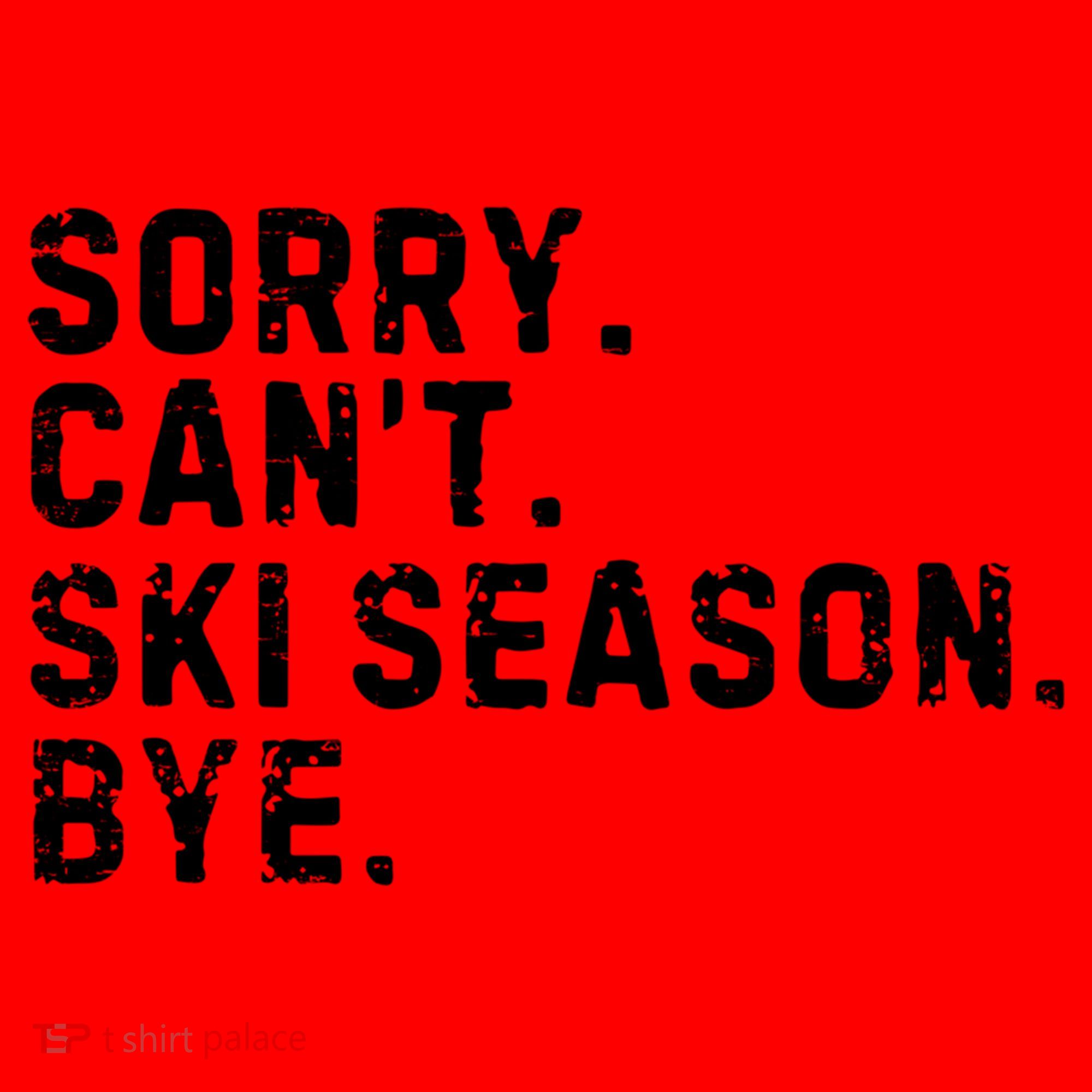 Retro Sorry Can’T Ski Season Bye Funny Skiing Lover Saying Gift Santa Hat