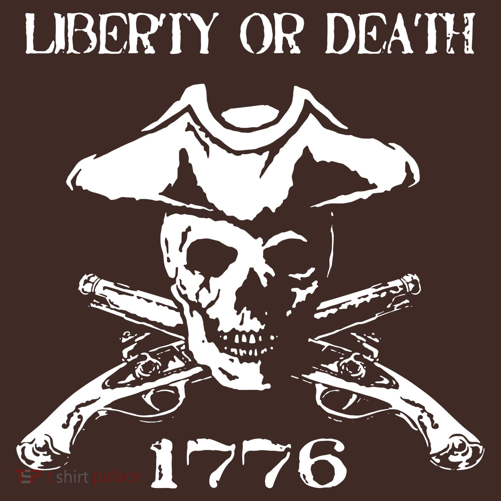 Revolutionary Skull Crossbones Flintlock Cool Apron