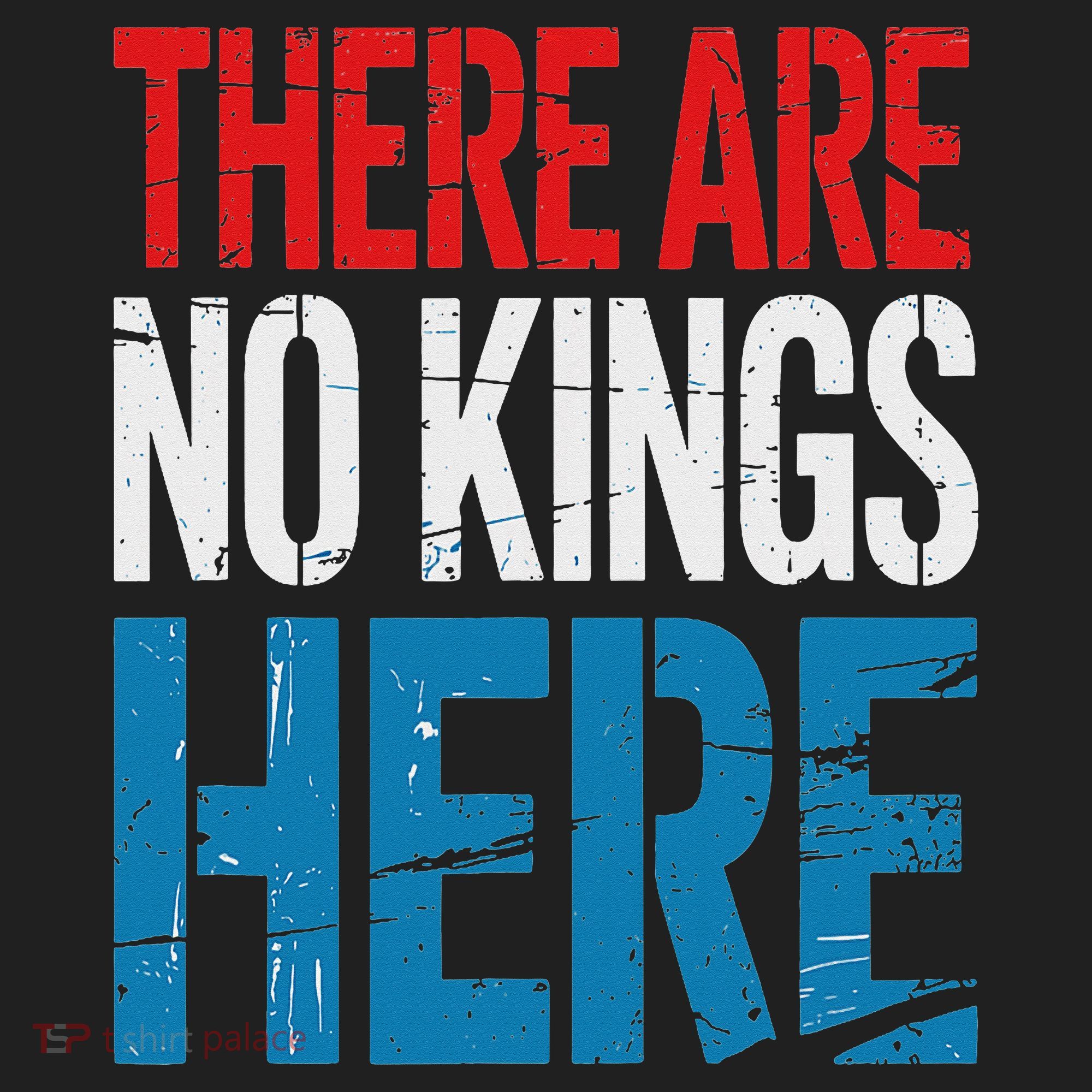 Resist Save Democracy Resistance No Kings Protest Beanie