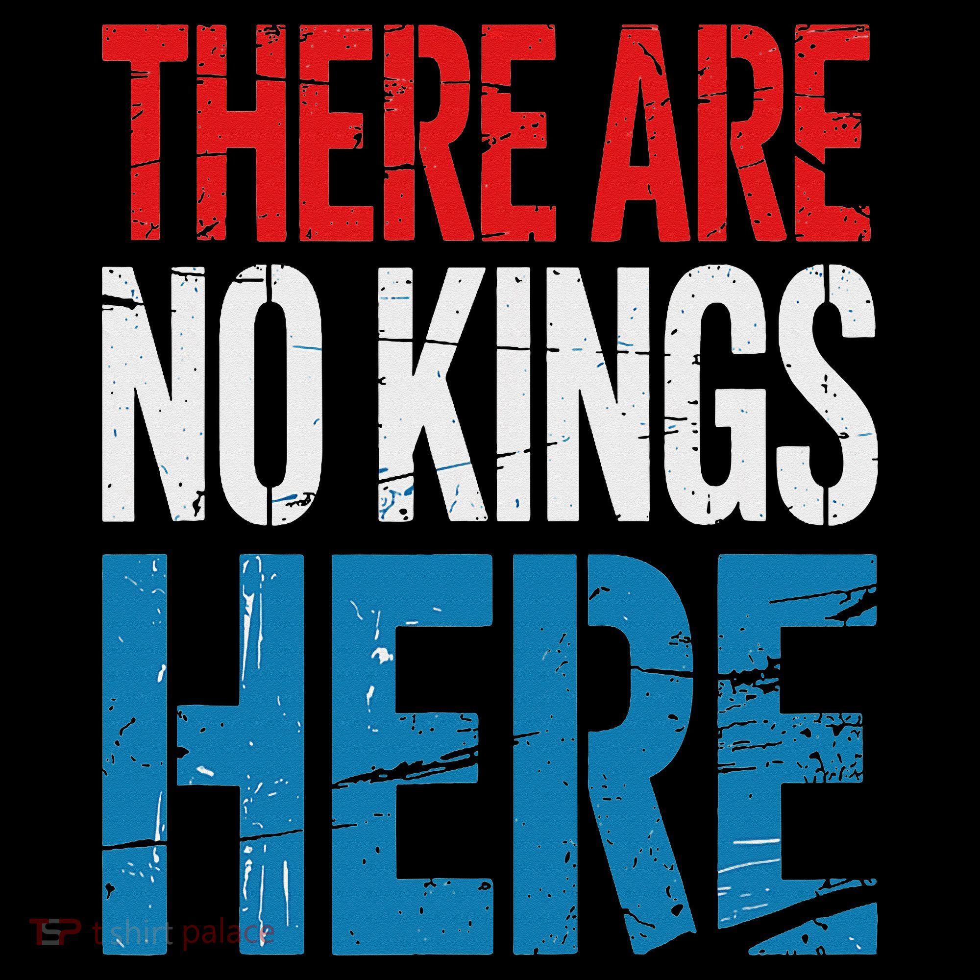 Resist Save Democracy Resistance No Kings Protest Coaster