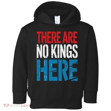 Resist Save Democracy Resistance No Kings Protest Toddler Hoodie