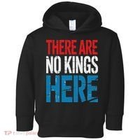 Resist Save Democracy Resistance No Kings Protest Toddler Hoodie thumb 0