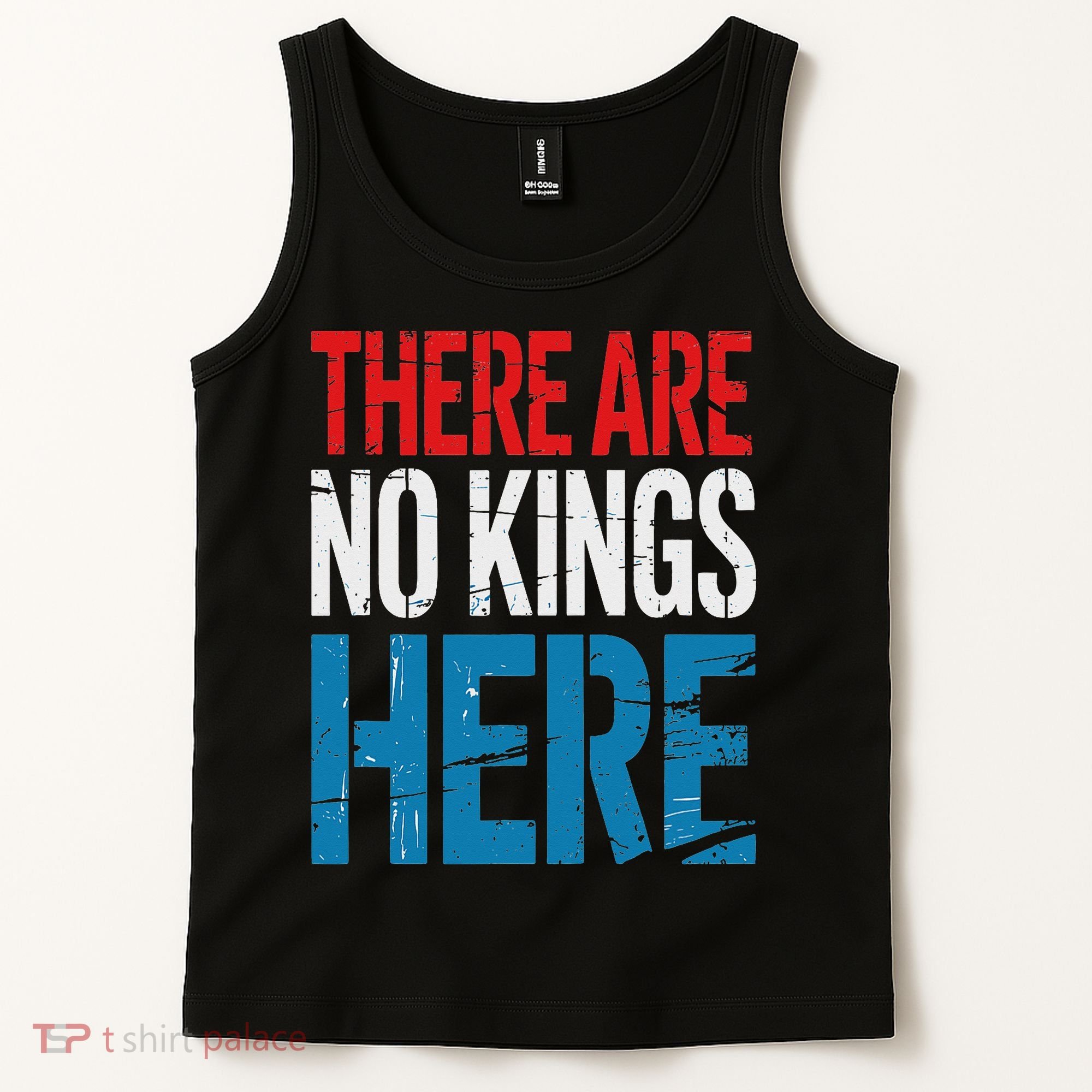 Resist Save Democracy Resistance No Kings Protest Tank Top