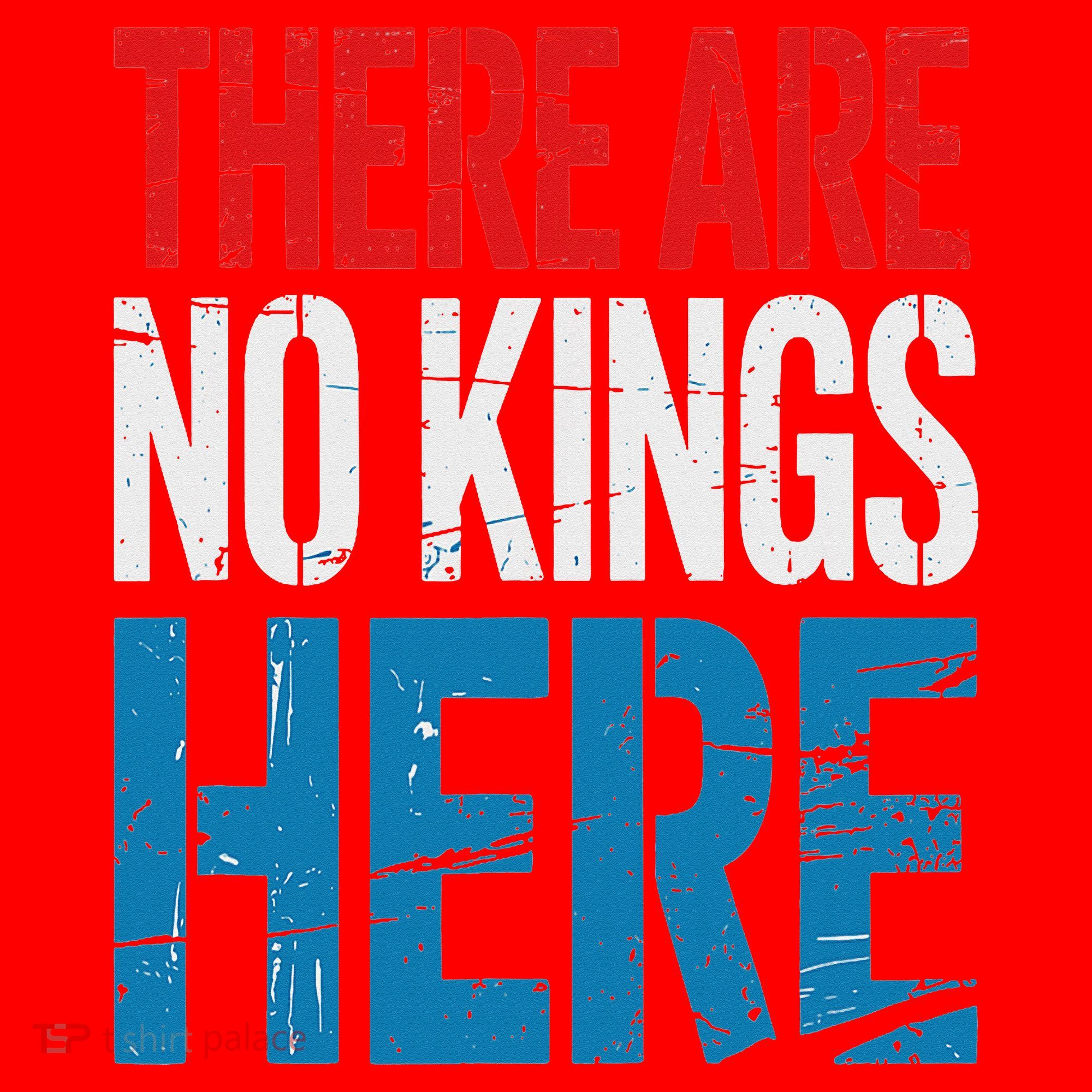 Resist Save Democracy Resistance No Kings Protest Santa Hat