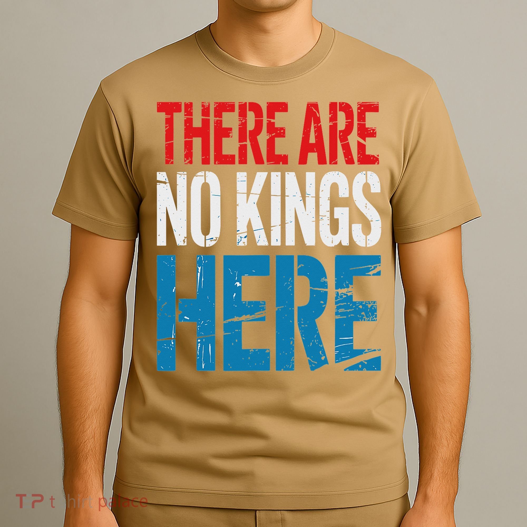 Resist Save Democracy Resistance No Kings Protest T-Shirt