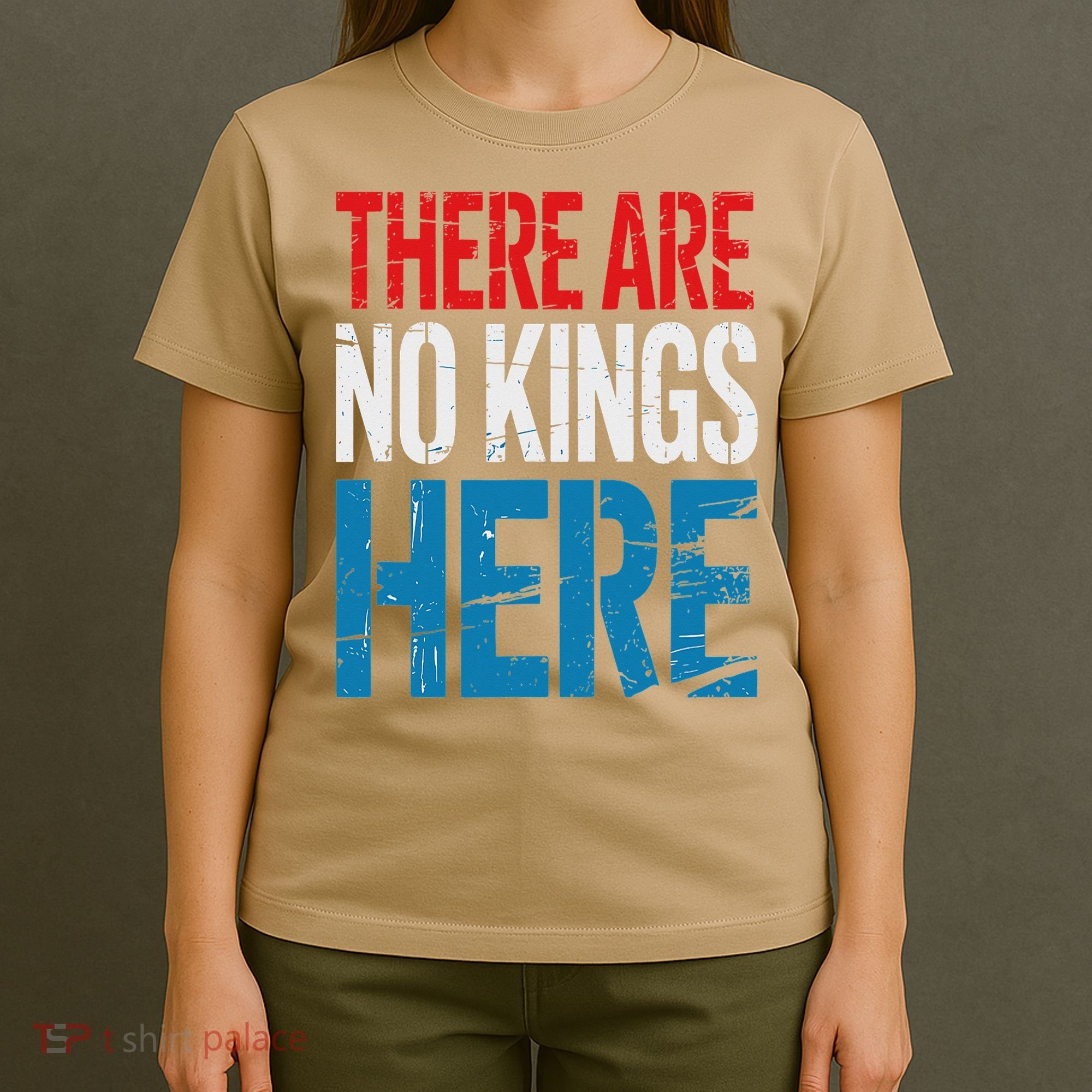 Resist Save Democracy Resistance No Kings Protest T-Shirt