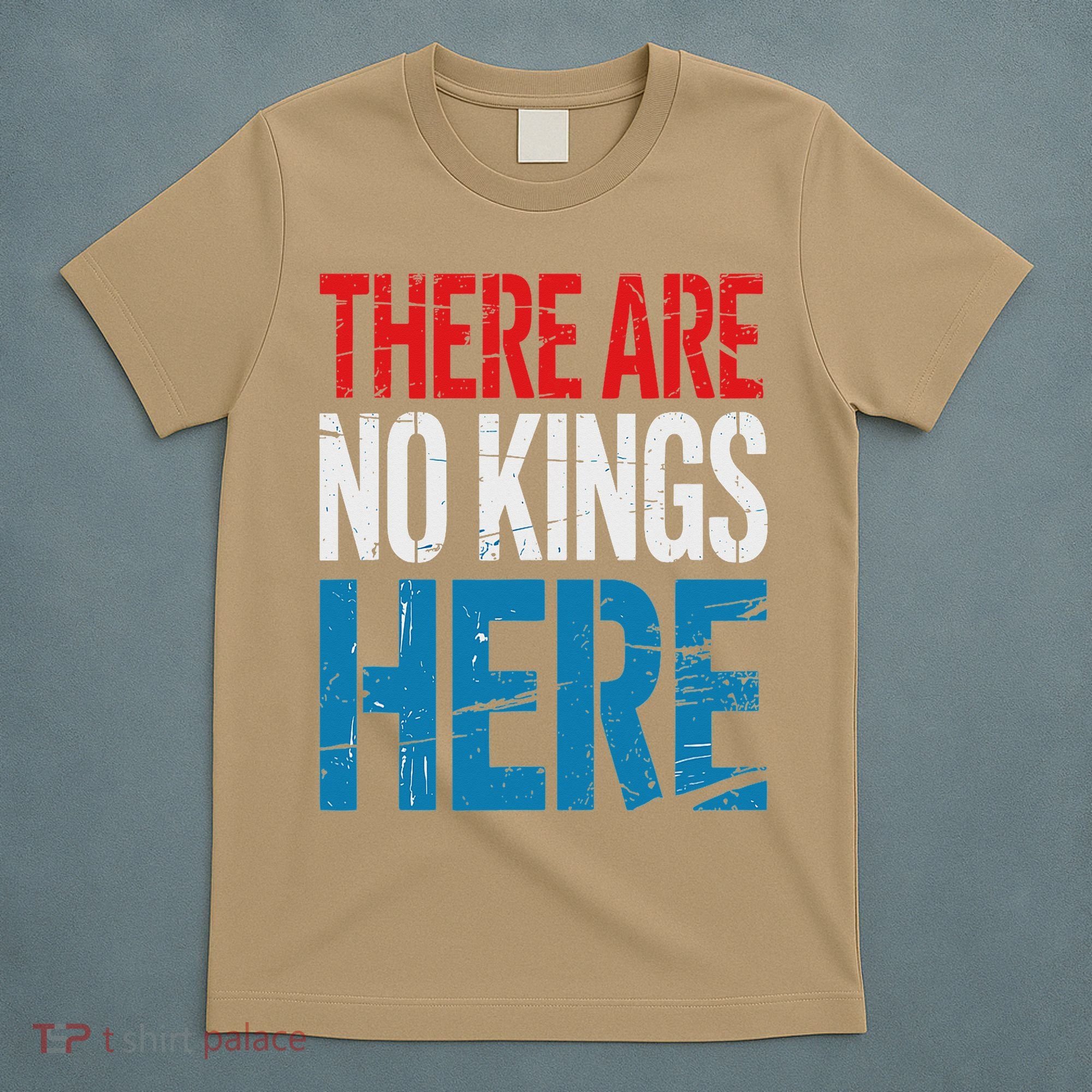Resist Save Democracy Resistance No Kings Protest T-Shirt