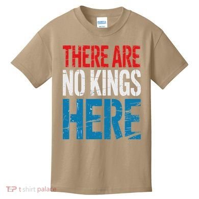 Resist Save Democracy Resistance No Kings Protest Kids T-Shirt