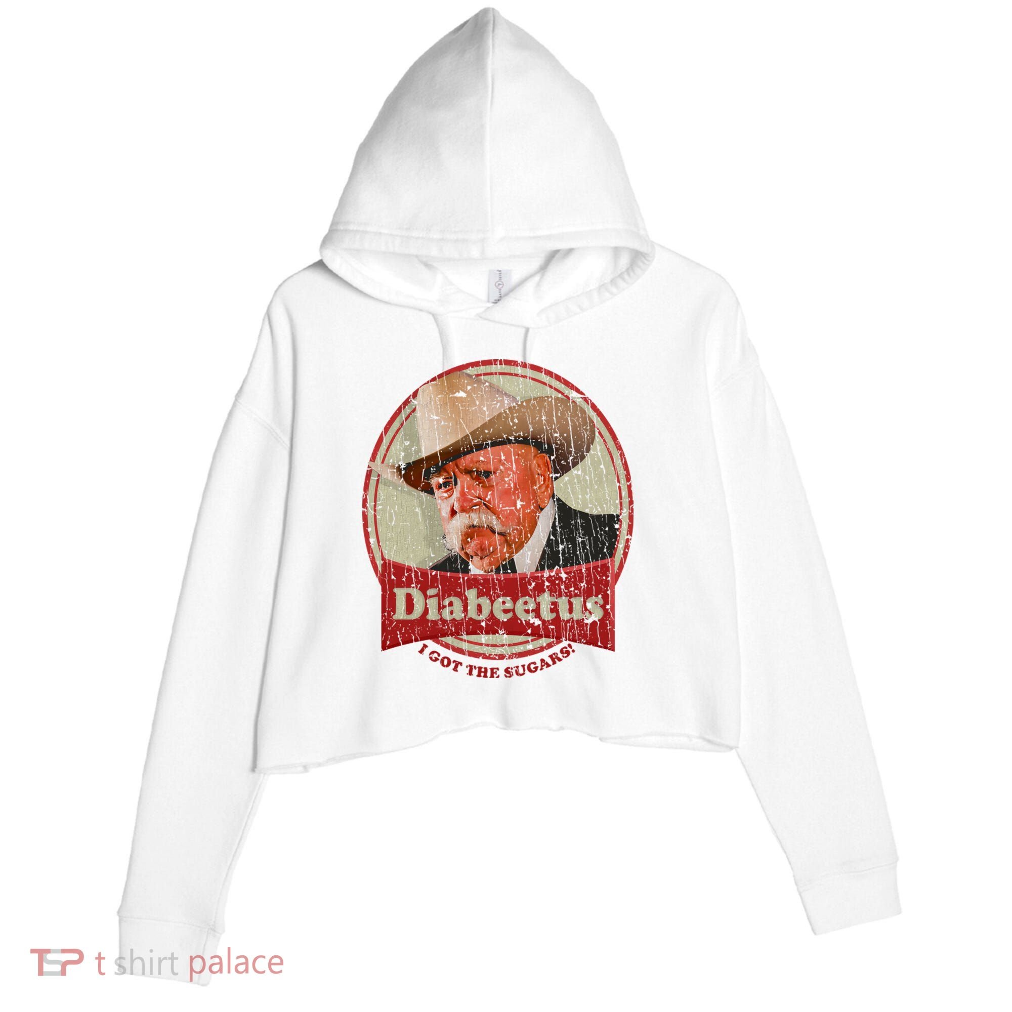 Retro Style Diabeetus I Got The Sugars Crop Fleece Hoodie