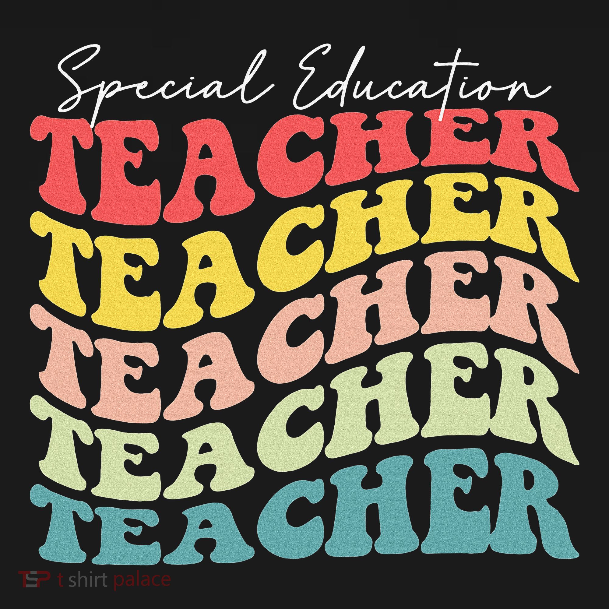 Retro Special Education Teacher Appreciation Long Sleeve Shirt
