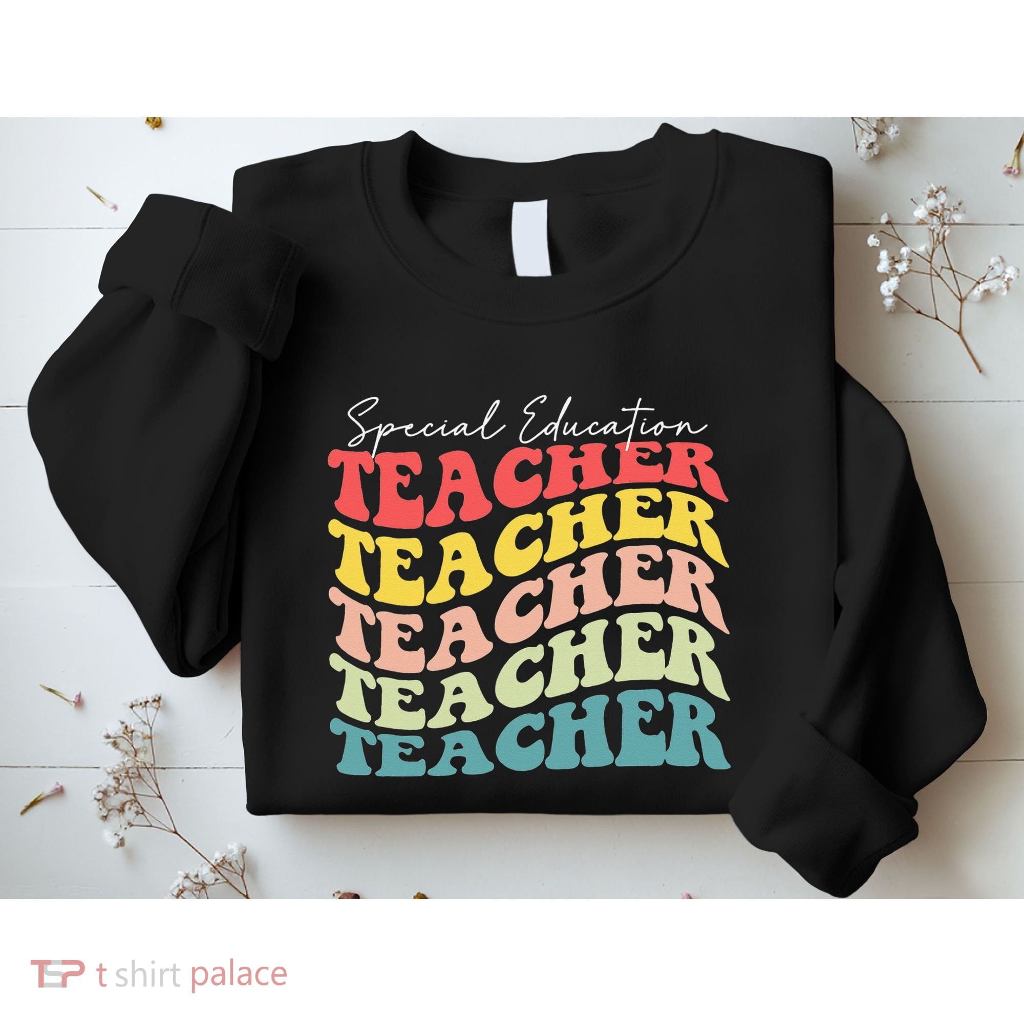 Retro Special Education Teacher Appreciation Sweatshirt