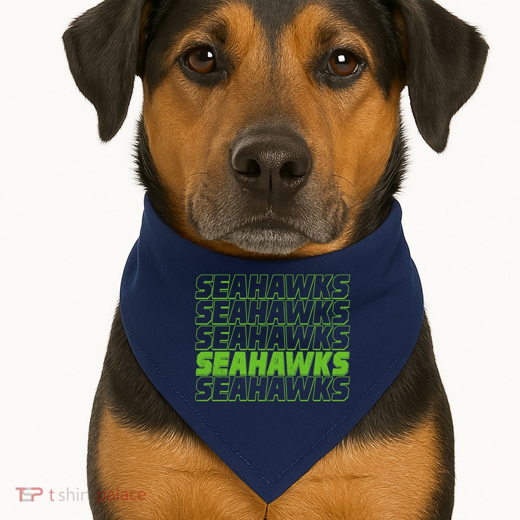 Retro Seahawks Football  USA-Made Doggie Bandana