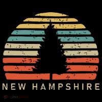 Retro Sunset New Hampshire Pine Tree Hoodie thumb 7