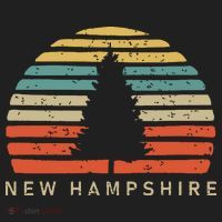 Retro Sunset New Hampshire Pine Tree Hat thumb 2