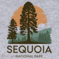 Retro Sequoia National Park Novelty Vacation Tree Minimalist Women's Sweatshirt thumb 2