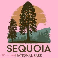 Retro Sequoia National Park Novelty Vacation Tree Minimalist Toddler Hoodie thumb 2