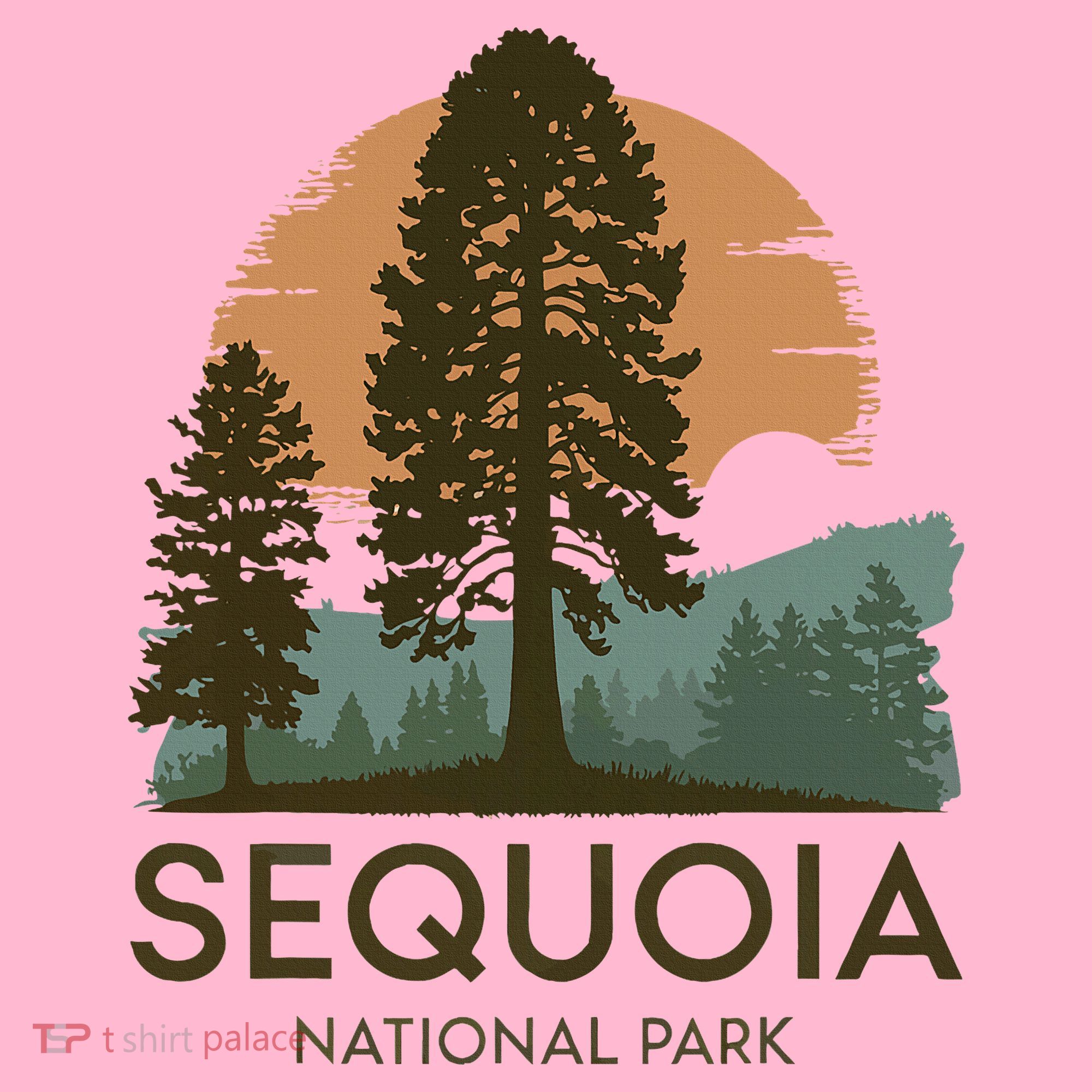 Retro Sequoia National Park Novelty Vacation Tree Minimalist Women's T-Shirt