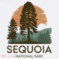 Retro Sequoia National Park Novelty Vacation Tree Minimalist Sweatshirt thumb 3