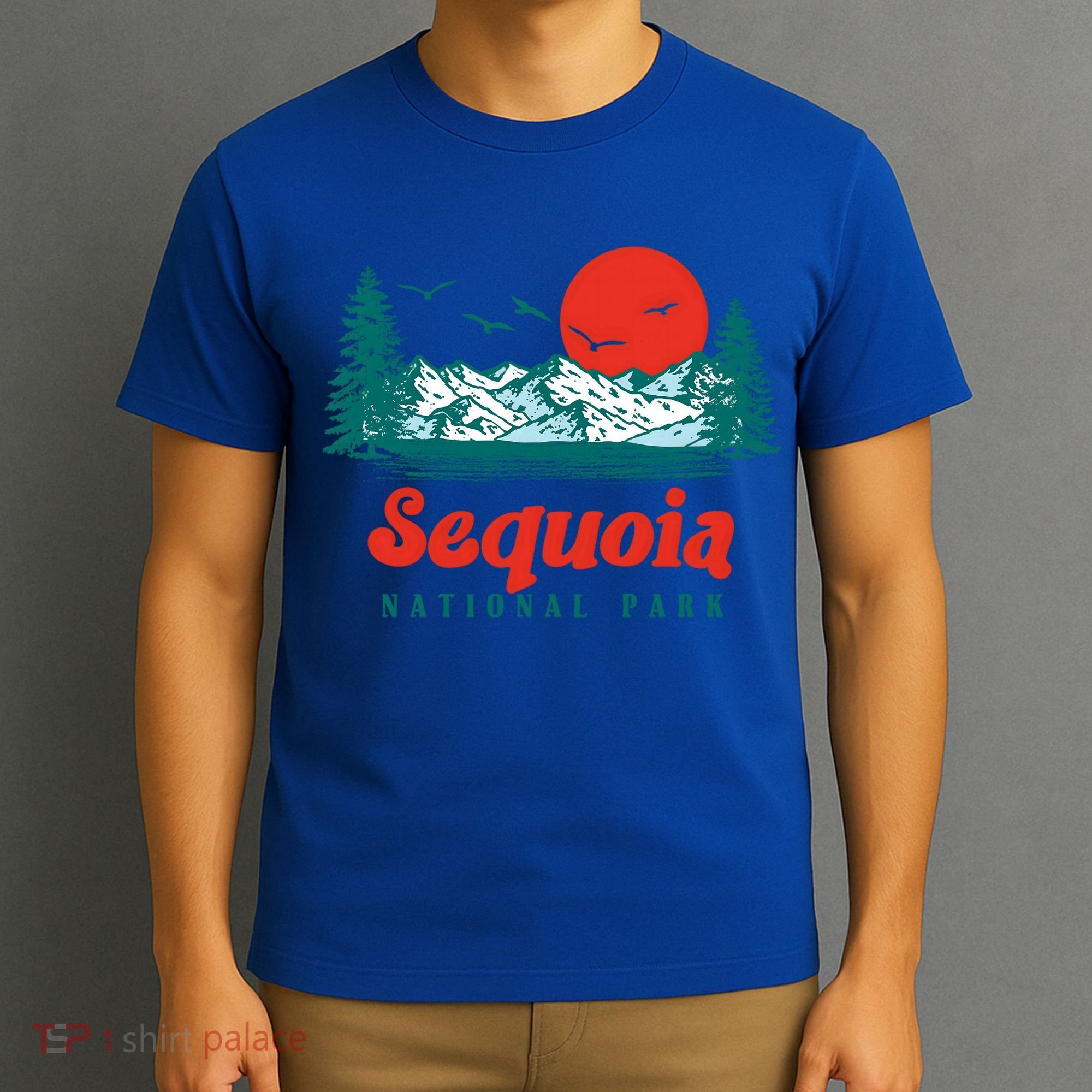 Retro Sequoia National Park Mountain Trees And Sun Graphic Gift T-Shirt