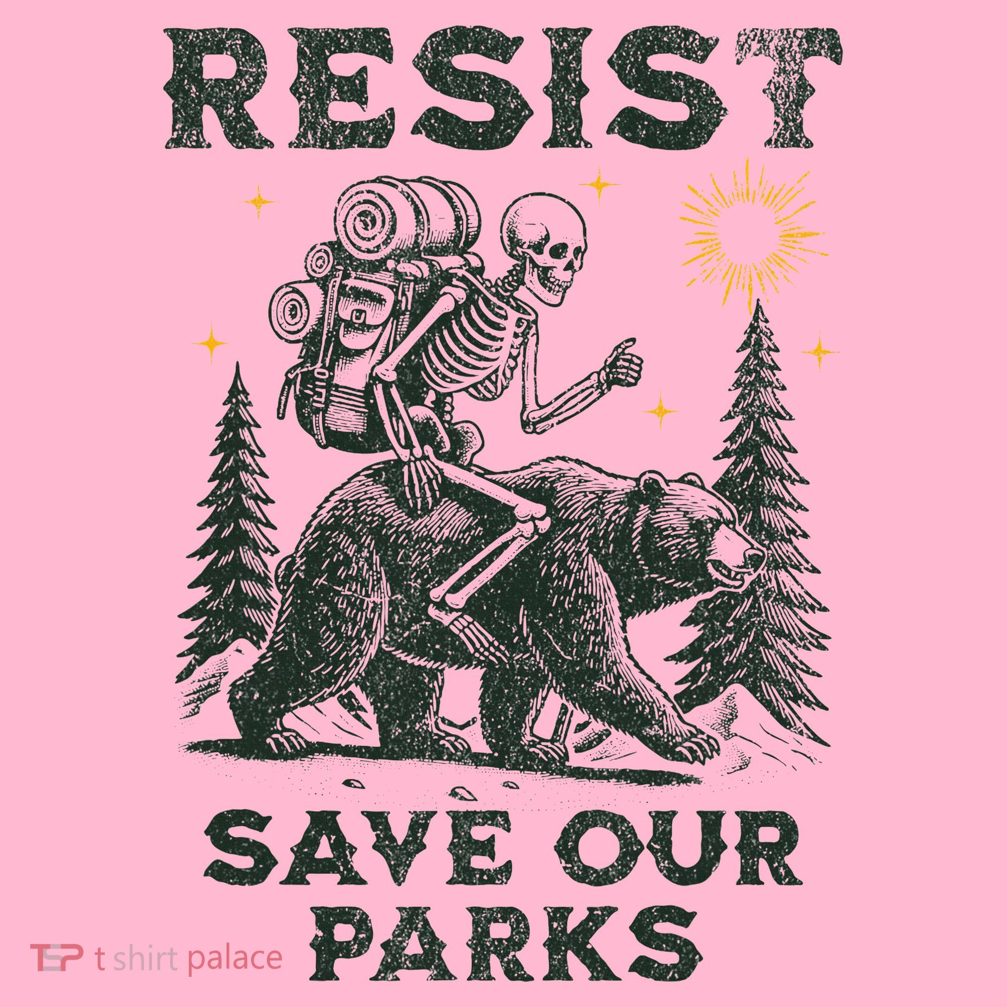 Resist Save Our Parks Alt US National Parks Bear Toddler Hoodie