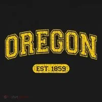 Retro Schoolstyle Oregon 1859 Distressed Hoodie thumb 2
