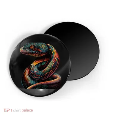 Magnet