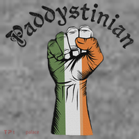 Retro Strong Paddystinian Irish Palestine Flag Toddler Hoodie thumb 2
