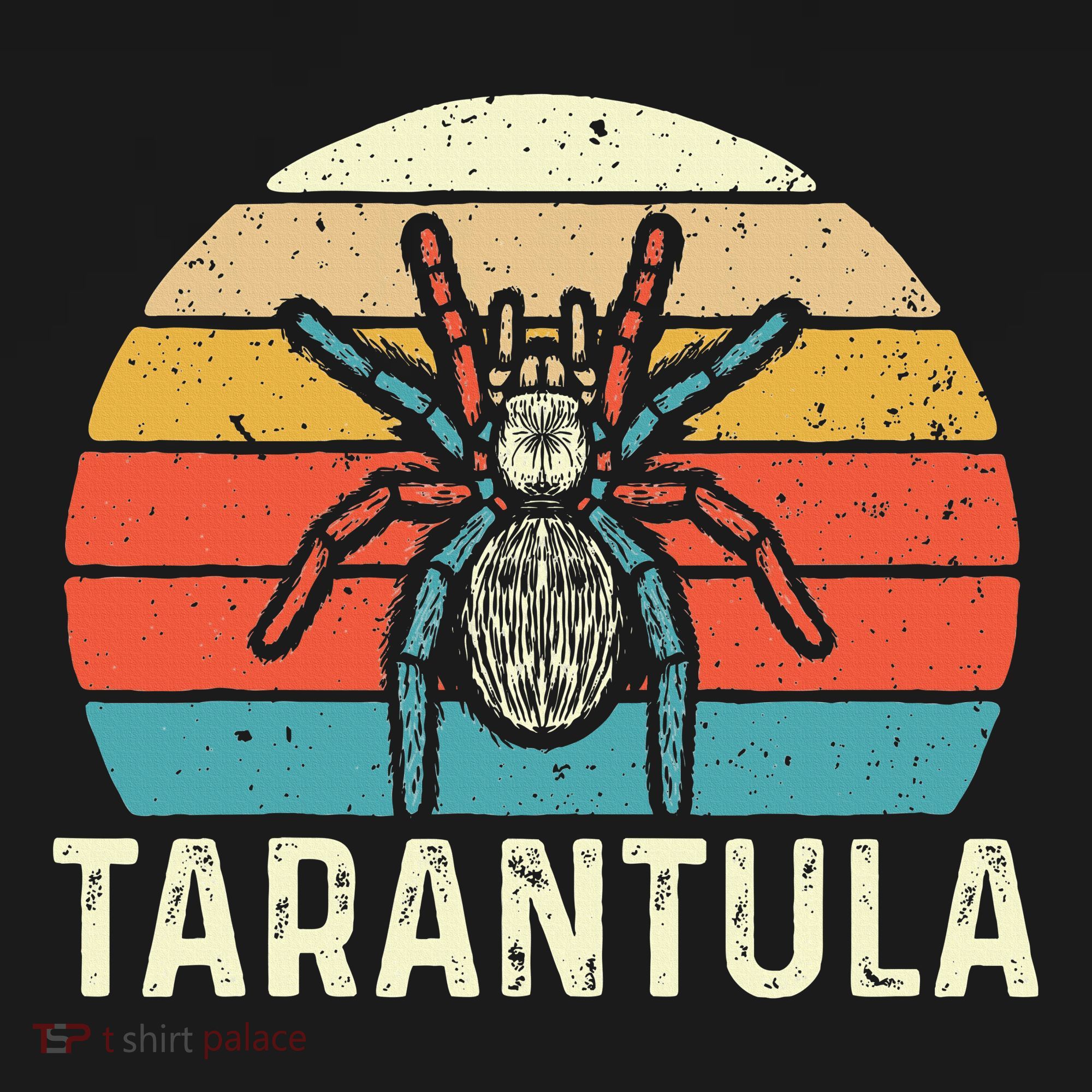 Retro Tarantula Arthropod Arachnid Arachnophile Spider Hoodie