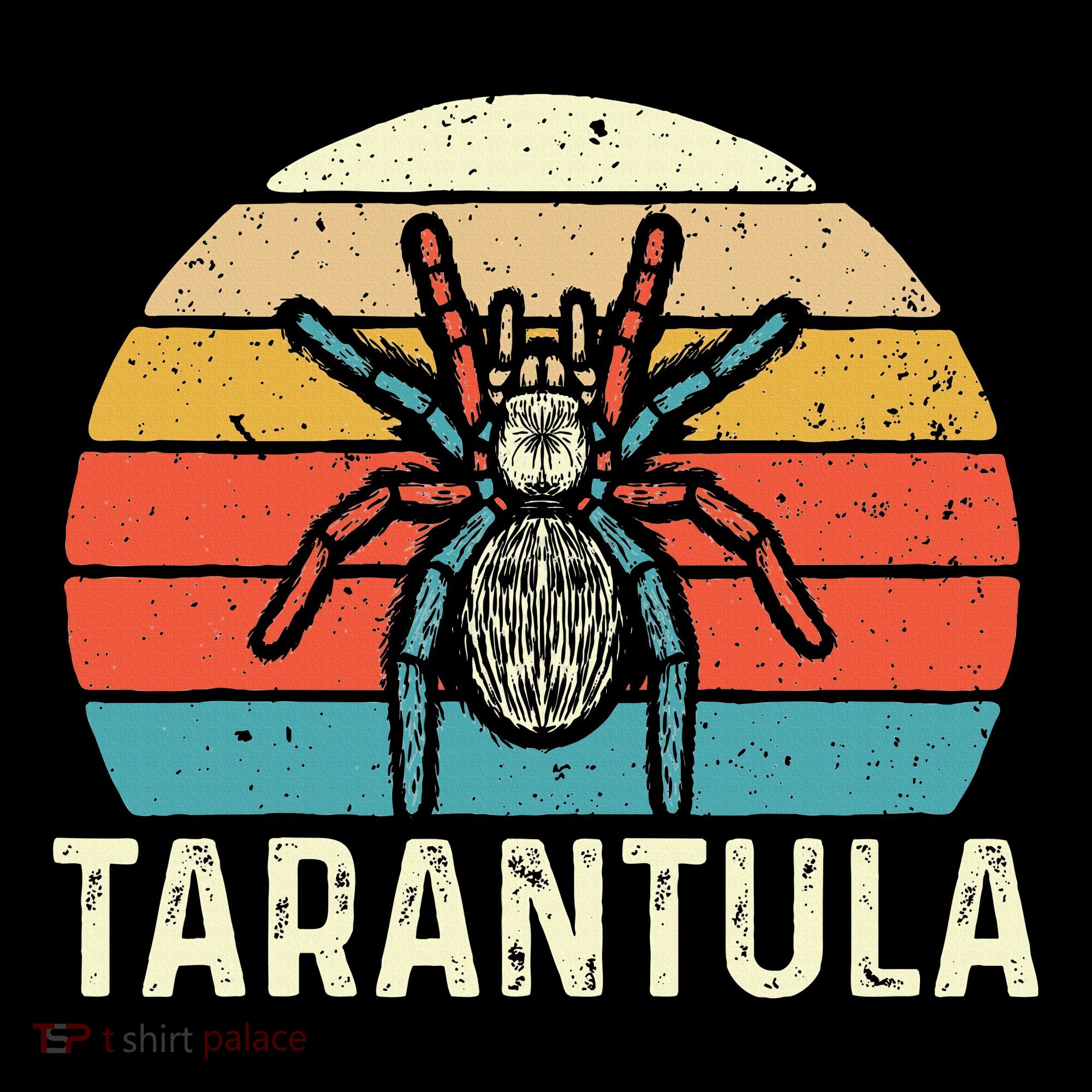 Retro Tarantula Arthropod Arachnid Arachnophile Spider Women's Hoodie