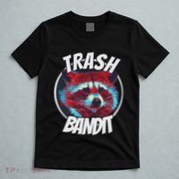 Raccoon Trash Bandit Funny Raccoon Trash Panda T-Shirt thumb 5